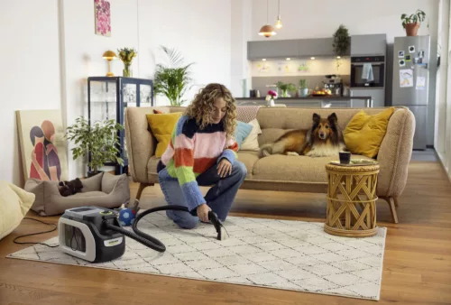 SE 3 Compact Home Shoe N1 szőnyeg és kárpittisztító