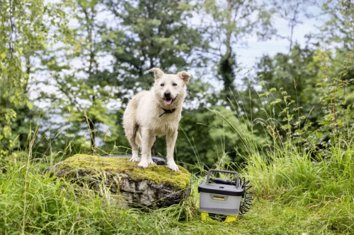 OC 4 + Pet Kit- mobil kültéri tisztító